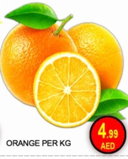 Orange available at جرين جيفت متجر أقسام in الإمارات العربية المتحدة , الامارات - دبي