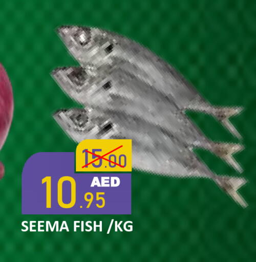 available at رويال جلف هايبرماركت in الإمارات العربية المتحدة , الامارات - أبو ظبي