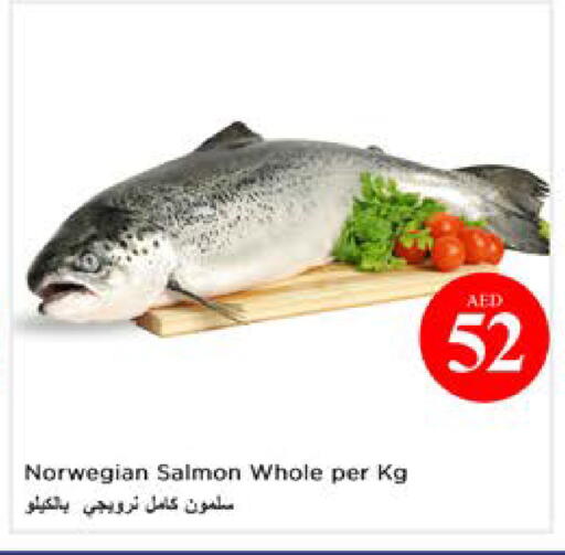 available at نستو هايبرماركت in الإمارات العربية المتحدة , الامارات - أبو ظبي