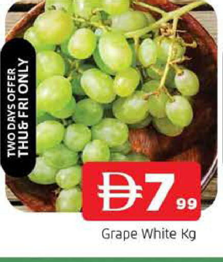 available at المدينة in الإمارات العربية المتحدة , الامارات - الشارقة / عجمان