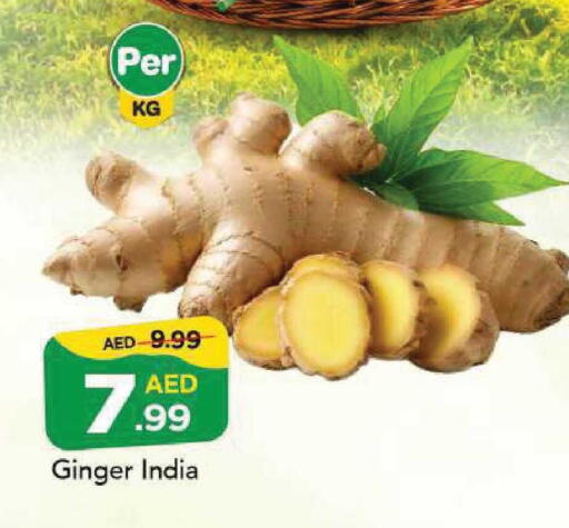 Ginger from India available at مارك & سيف in الإمارات العربية المتحدة , الامارات - أبو ظبي