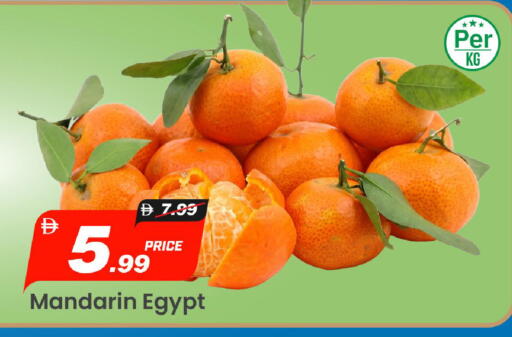 Mandarin from Egypt available at مارك & سيف in الإمارات العربية المتحدة , الامارات - الشارقة / عجمان