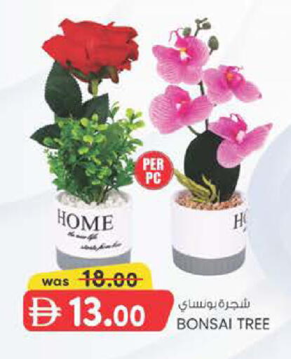 available at ك. الم. للتجارة in الإمارات العربية المتحدة , الامارات - الشارقة / عجمان