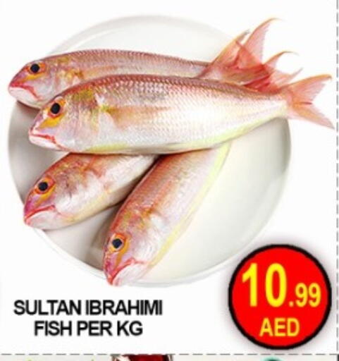 available at جرين جيفت متجر أقسام in الإمارات العربية المتحدة , الامارات - دبي