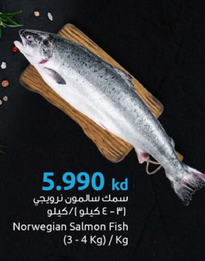 available at مركز سلطان in الكويت - محافظة الجهراء