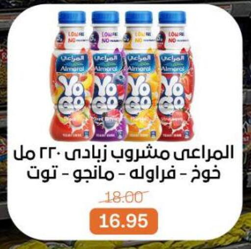 available at بيت الجملة in Egypt - القاهرة
