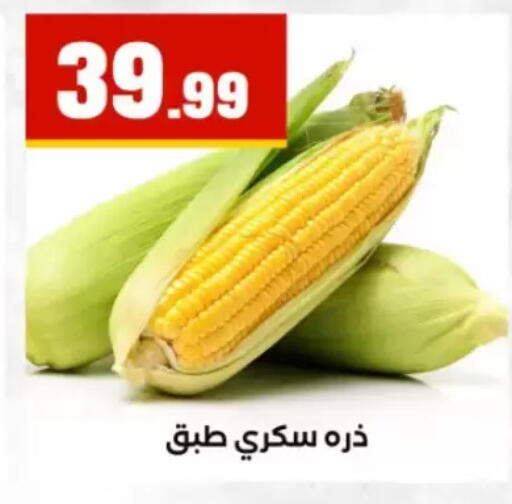 available at El Mahlawy Stores in Egypt - Cairo