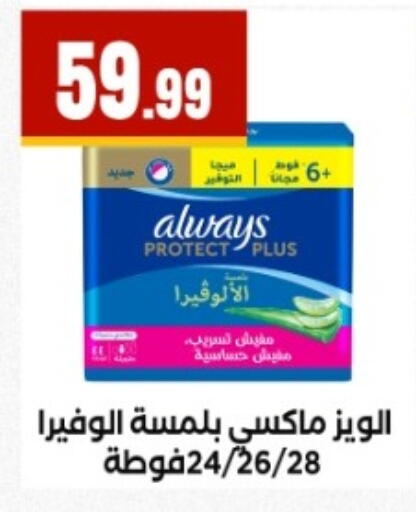 available at MartVille in Egypt - Cairo