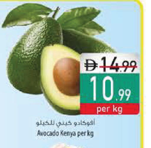 Avocado from Kenya available at Safeer Market in UAE - Ras al Khaimah