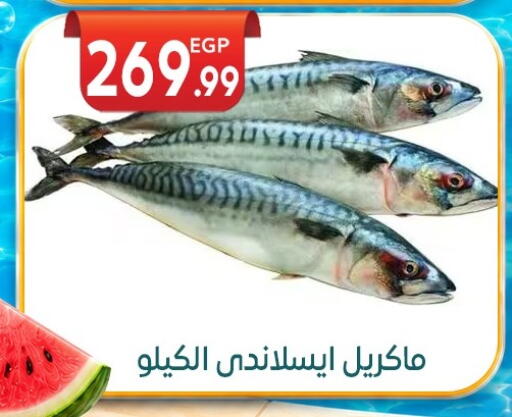 available at المحلاوي ماركت in Egypt - القاهرة