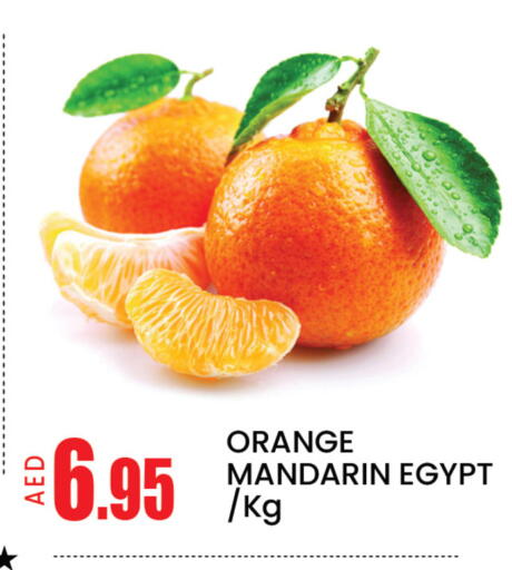 Orange Mandarin Mango from Egypt available at Mango Hypermarket LLC in UAE - Dubai