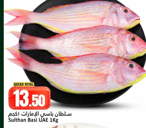 available at دانة هايبرماركت in قطر - الوكرة