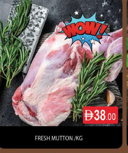 available at AL MADINA (Dubai) in UAE - Dubai