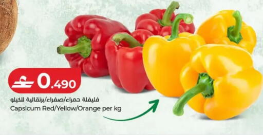Orange Capsicum available at لولو هايبر ماركت in عُمان - صُحار‎