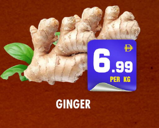 Ginger available at NIGHT TO NIGHT DEPARTMENT STORE in UAE - Sharjah / Ajman