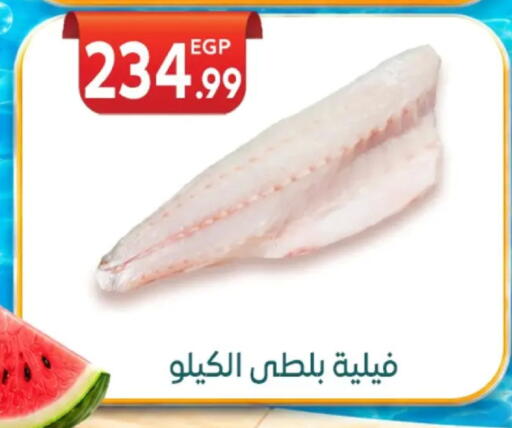 available at أولاد المحاوى in Egypt - القاهرة