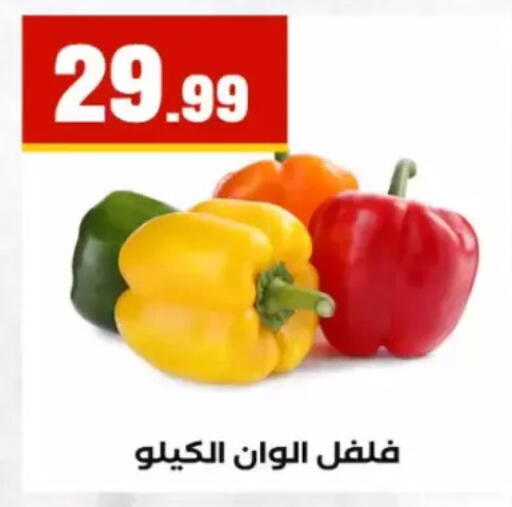 available at El Mahlawy Stores in Egypt - Cairo