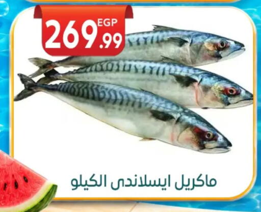 available at أولاد المحاوى in Egypt - القاهرة