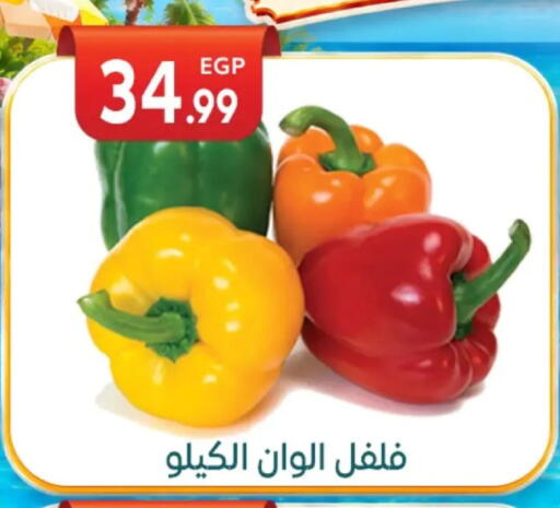 available at أولاد المحاوى in Egypt - القاهرة