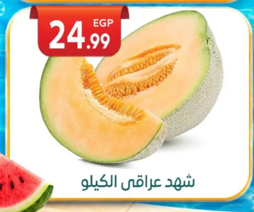 available at أولاد المحاوى in Egypt - القاهرة