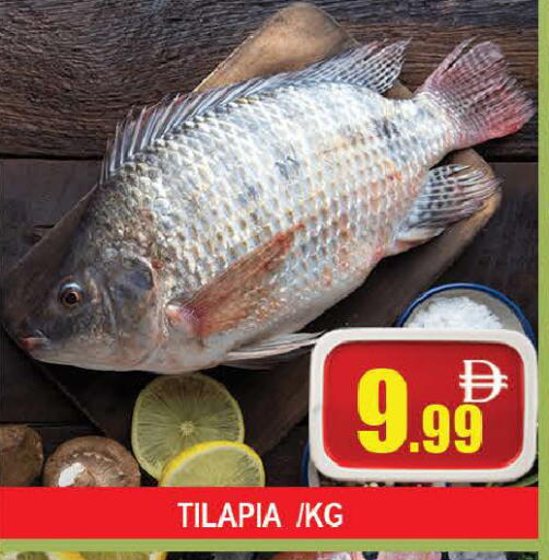 available at AL MADINA (Dubai) in UAE - Dubai
