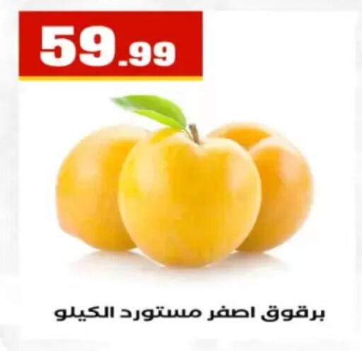 available at El Mahlawy Stores in Egypt - Cairo