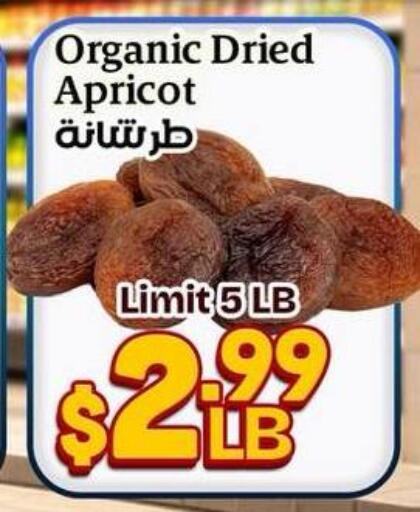 Apricot available at هايبر ماركت دريم in Egypt - القاهرة