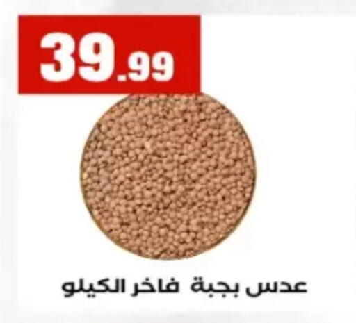 available at El Mahlawy Stores in Egypt - Cairo