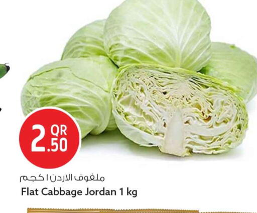 Cabbage from Jordan available at سفاري هايبر ماركت in قطر - الشمال