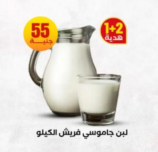 available at المحلاوي ستورز in Egypt - القاهرة