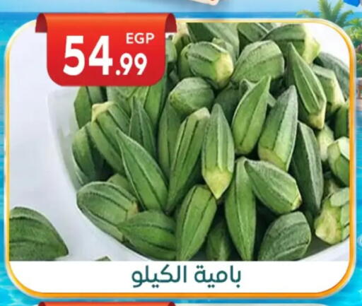 available at El mhallawy Sons in Egypt - Cairo