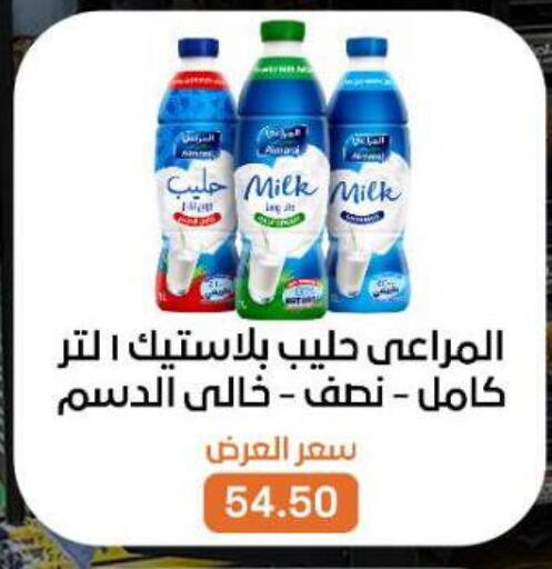 available at Beit El Gomla in Egypt - Cairo
