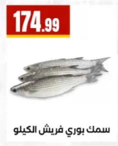 available at El Mahlawy Stores in Egypt - Cairo