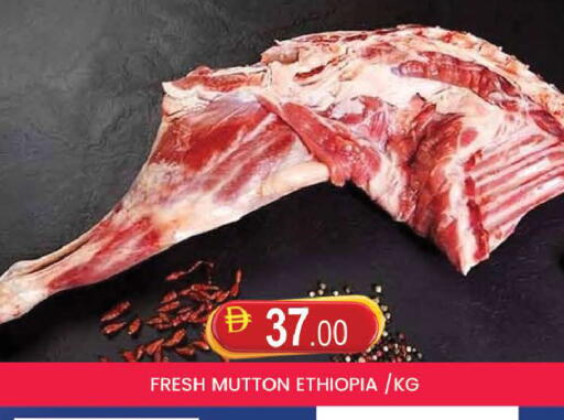 available at AL MADINA (Dubai) in UAE - Dubai