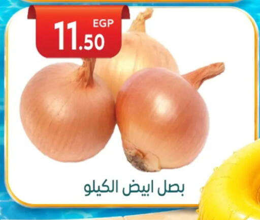 available at أولاد المحاوى in Egypt - القاهرة