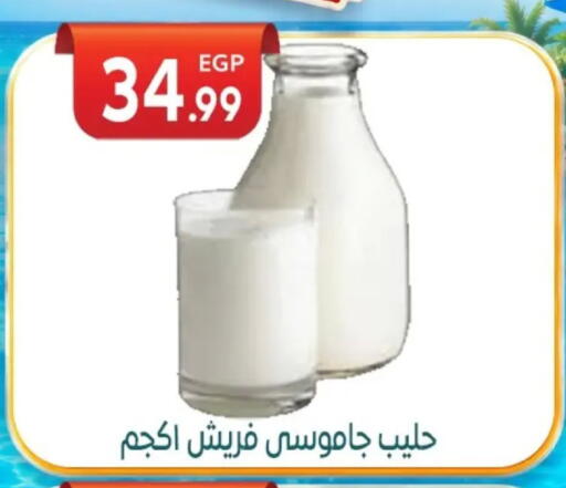 available at أولاد المحاوى in Egypt - القاهرة
