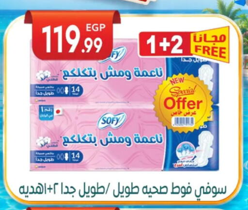 available at El mhallawy Sons in Egypt - Cairo