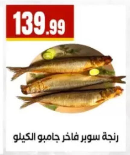 available at El Mahlawy Stores in Egypt - Cairo