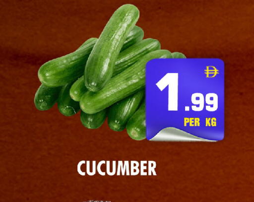 Cucumber available at NIGHT TO NIGHT DEPARTMENT STORE in UAE - Sharjah / Ajman