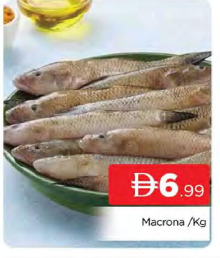 available at AL MADINA (Dubai) in UAE - Dubai