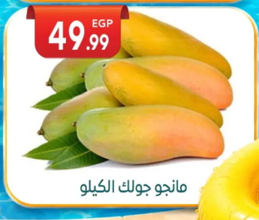 available at أولاد المحاوى in Egypt - القاهرة