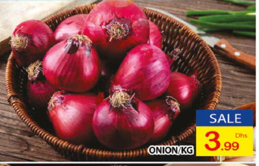 Onion available at AL MADINA (Dubai) in UAE - Dubai