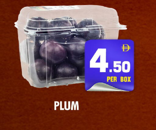 Plum available at NIGHT TO NIGHT DEPARTMENT STORE in UAE - Sharjah / Ajman