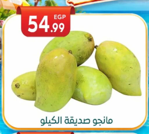 available at أولاد المحاوى in Egypt - القاهرة