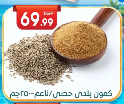 available at أولاد المحاوى in Egypt - القاهرة