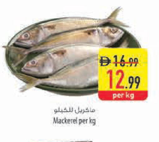 available at Safeer Market in UAE - Ras al Khaimah