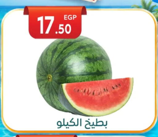 available at أولاد المحاوى in Egypt - القاهرة