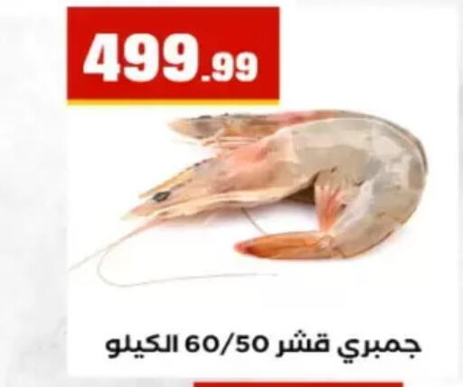 available at El Mahlawy Stores in Egypt - Cairo