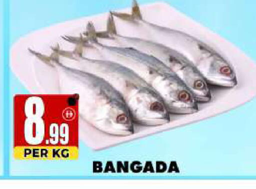 available at Centro Discount Center in UAE - Sharjah / Ajman