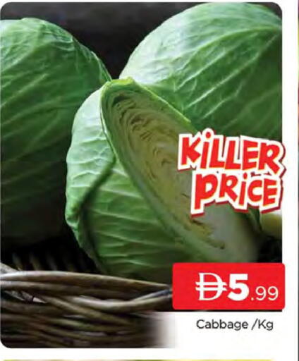 Cabbage available at AL MADINA (Dubai) in UAE - Dubai